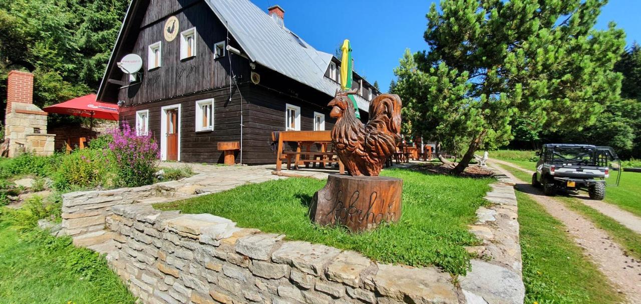 Horska Bouda U Kokrhace Hotel Dolni Mala Upa Exterior photo